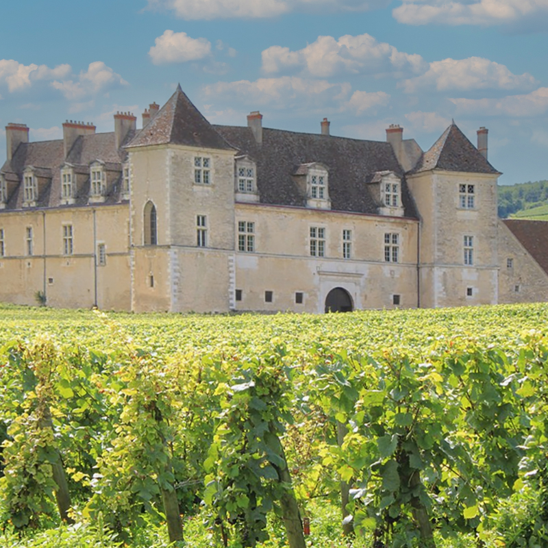 Clos du Vougeot